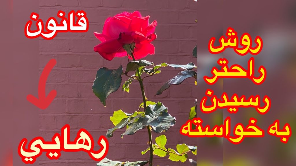 قانون رهایی در قرآن